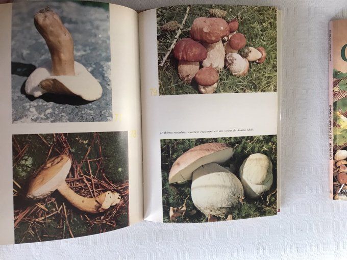 2 Livres, Cuisiner les champignons et Le grand livre des champignons