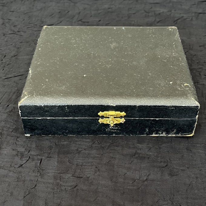 12 petites cuillères à dessert poinçonnées, en métal argenté dans leur écrin