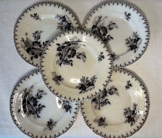 5 Assiettes anciennes en terre de fer, décor floral, Flore, U et C, Sarreguemines, 19ème siècle