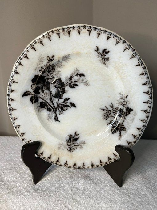5 Assiettes anciennes en terre de fer, décor floral, Flore, U et C, Sarreguemines, 19ème siècle