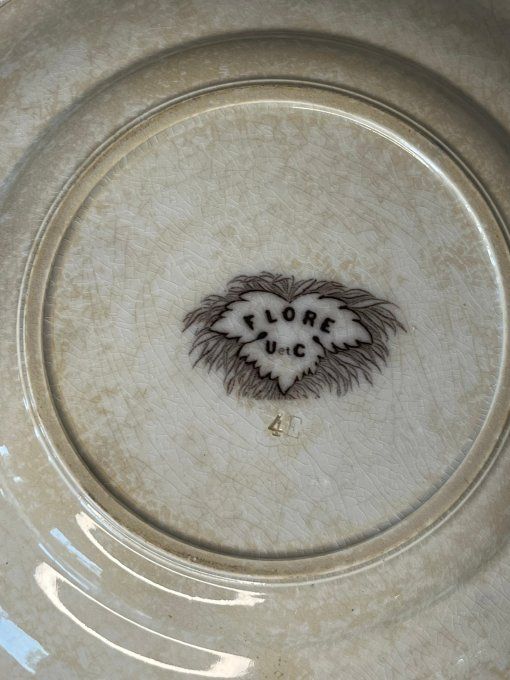 5 Assiettes anciennes en terre de fer, décor floral, Flore, U et C, Sarreguemines, 19ème siècle