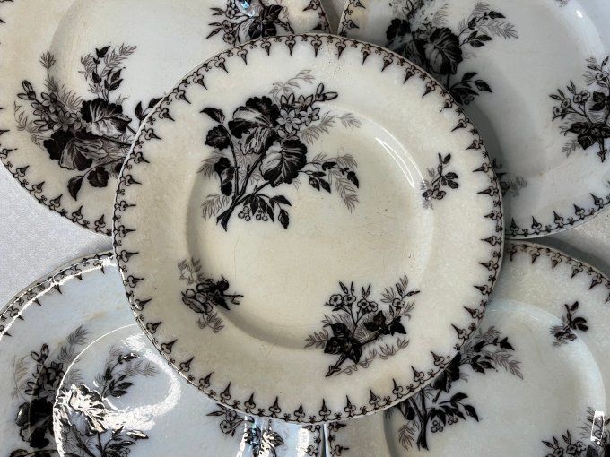 5 Assiettes anciennes en terre de fer, décor floral, Flore, U et C, Sarreguemines, 19ème siècle