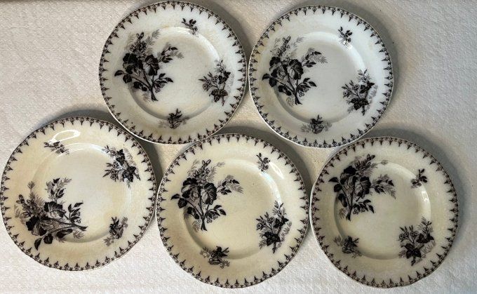 5 Assiettes anciennes en terre de fer, décor floral, Flore, U et C, Sarreguemines, 19ème siècle