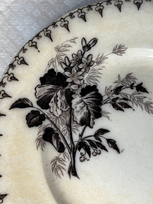 5 Assiettes anciennes en terre de fer, décor floral, Flore, U et C, Sarreguemines, 19ème siècle