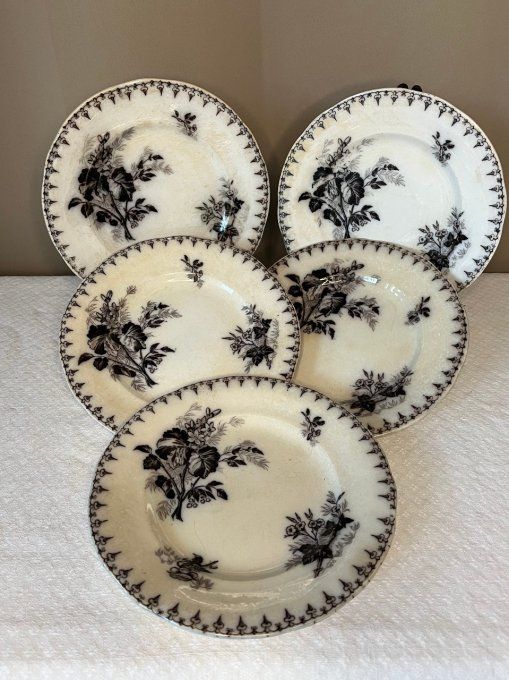 5 Assiettes anciennes en terre de fer, décor floral, Flore, U et C, Sarreguemines, 19ème siècle