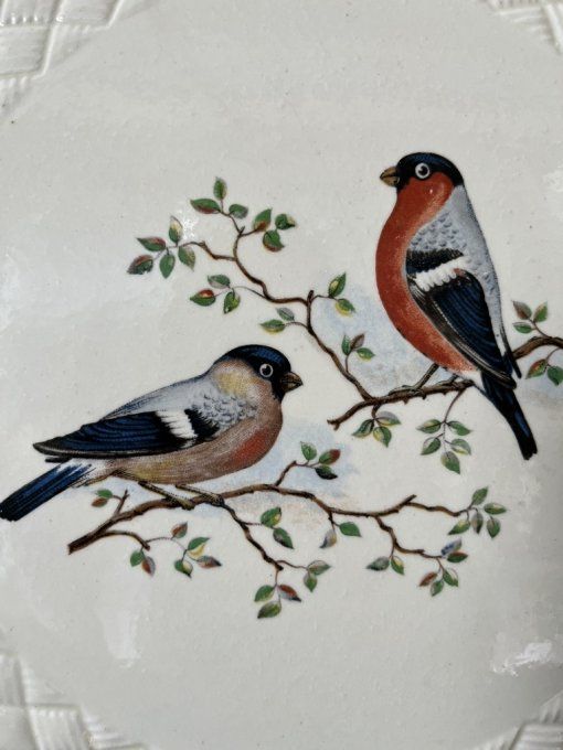 Ancienne assiette au décor d'oiseaux, Saint Amand, Ceranord