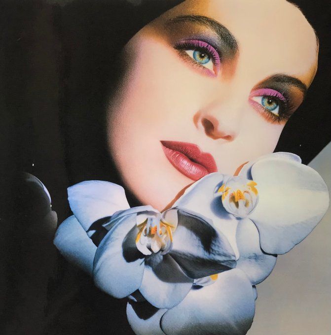 Belle affiche, photogravure de 1987 pour le maquillage Illustration de DIOR