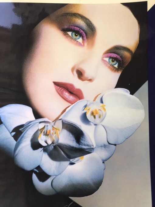 Belle affiche, photogravure de 1987 pour le maquillage Illustration de DIOR