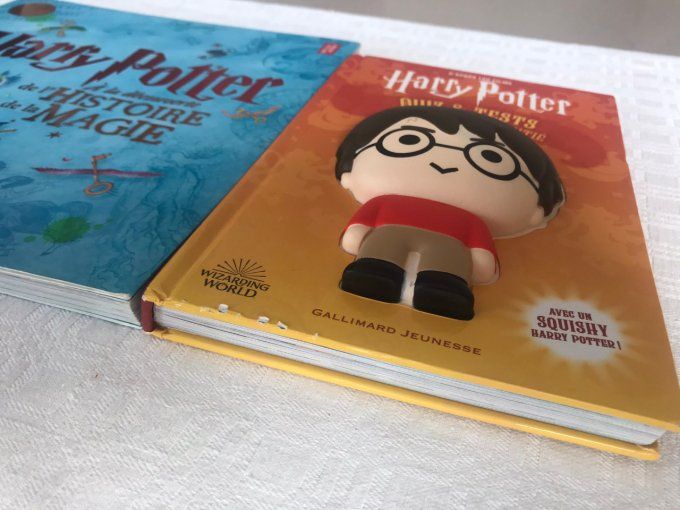 2 livres Harry Potter, À la découverte de l'histoire de la magie et Quiz & Tests