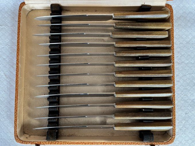 Couteaux de table anciens Guyonneau Chatellerault, manches en corne, avec écrin d'origine