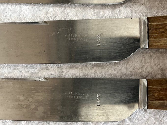 Couteaux de table anciens Guyonneau Chatellerault, manches en corne, avec écrin d'origine