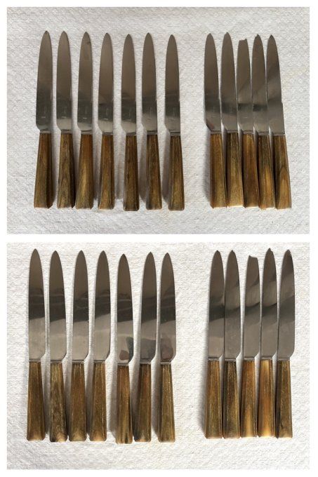 Couteaux de table anciens Guyonneau Chatellerault, manches en corne, avec écrin d'origine