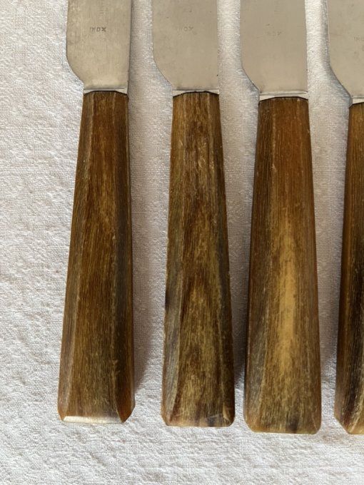 Couteaux de table anciens Guyonneau Chatellerault, manches en corne, avec écrin d'origine