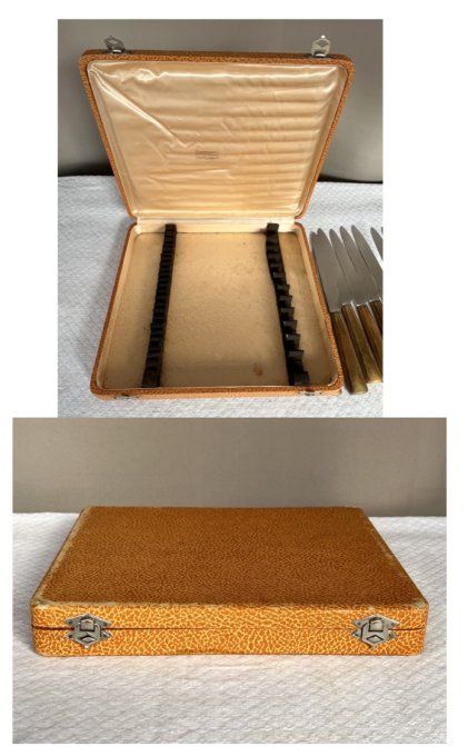 Couteaux de table anciens Guyonneau Chatellerault, manches en corne, avec écrin d'origine