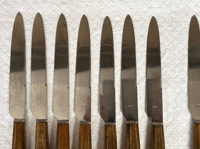 Couteaux de table anciens Guyonneau Chatellerault, manches en corne, avec écrin d'origine