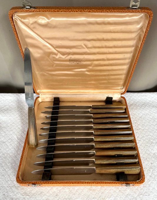 Couteaux de table anciens Guyonneau Chatellerault, manches en corne, avec écrin d'origine