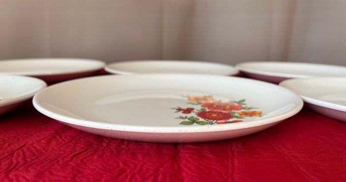 Ensemble de 6 petites assiettes vintage, decor 70's, Orchies, Le Moulin Des Loups