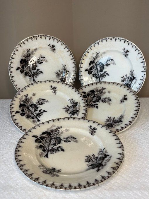 5 Assiettes anciennes en terre de fer, décor floral, Flore, U et C, Sarreguemines, 19ème siècle