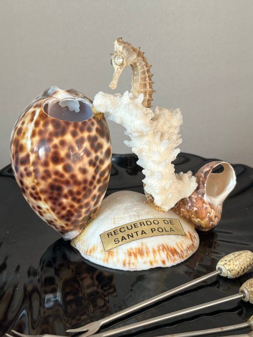 Pique à escargots, apéritif, vintage en coquillages marins avec hippocampe et corail