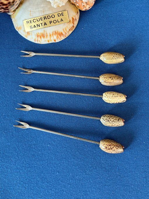 Pique à escargots, apéritif, vintage en coquillages marins avec hippocampe et corail