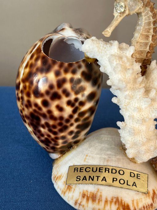 Pique à escargots, apéritif, vintage en coquillages marins avec hippocampe et corail