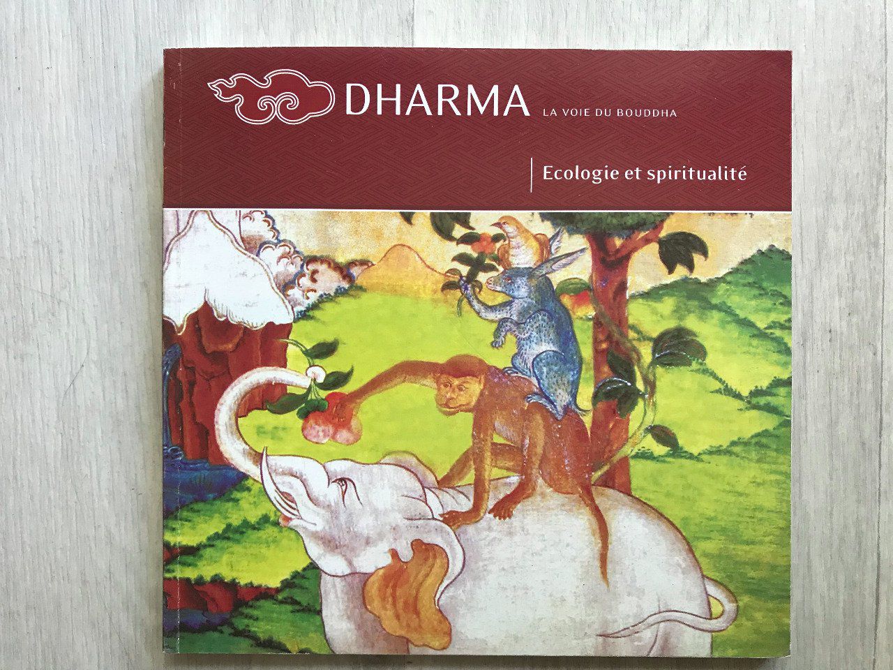 Dharma La voie du Bouddha N° 49 - Écologie et Spiritualité