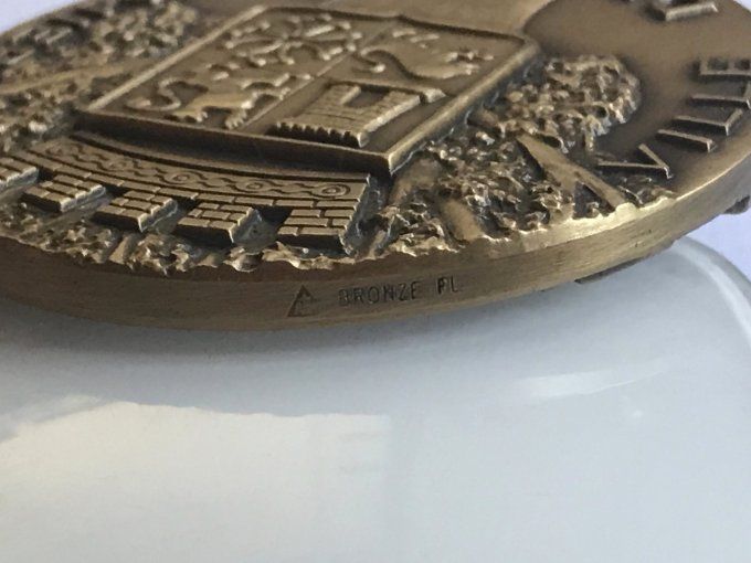 Médaille en bronze Airbus A340, Ville de Colomiers