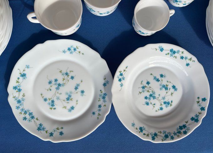 Vaisselle Vintage Arcopal Myosotis, Modèle Veronica - 16 Assiettes Plates, 6 Creuses et 4 Tasses.