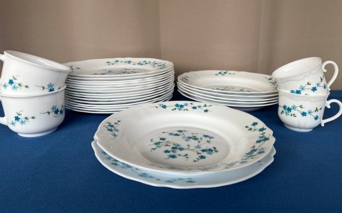 Vaisselle Vintage Arcopal Myosotis, Modèle Veronica - 16 Assiettes Plates, 6 Creuses et 4 Tasses.