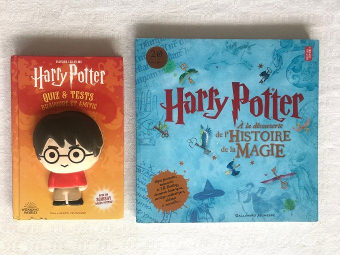 2 livres Harry Potter, À la découverte de l'histoire de la magie et Quiz & Tests