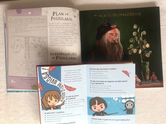 2 livres Harry Potter, À la découverte de l'histoire de la magie et Quiz & Tests