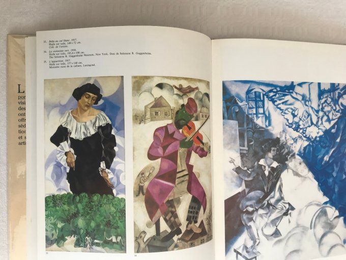 Livre Chagall, François Le Targat, Albin Michel