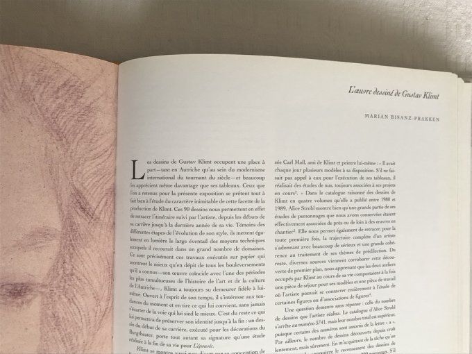 Livre Gustav Klimt, Vers un renouvellement de la modernité