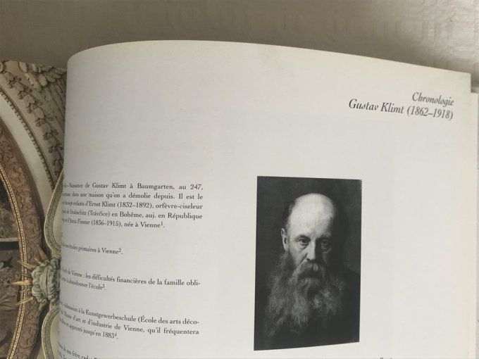 Livre Gustav Klimt, Vers un renouvellement de la modernité