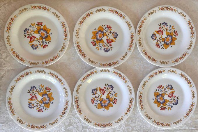 lot de 6 Assiettes à dessert vintage, Arcopal modèle fleuri Delhi