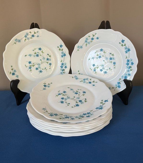 Lot de 9 petites assiettes ARCOPAL Modèle VÉRONICA (Myosotis) – Vintage années 70