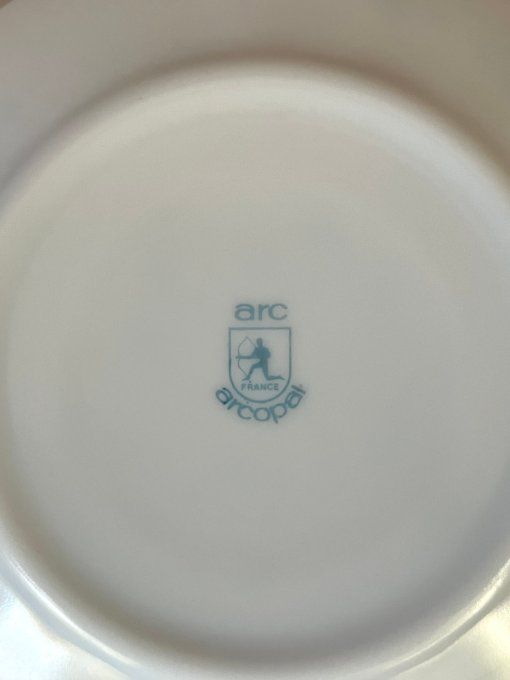 Lot de 9 petites assiettes ARCOPAL Modèle VÉRONICA (Myosotis) – Vintage années 70