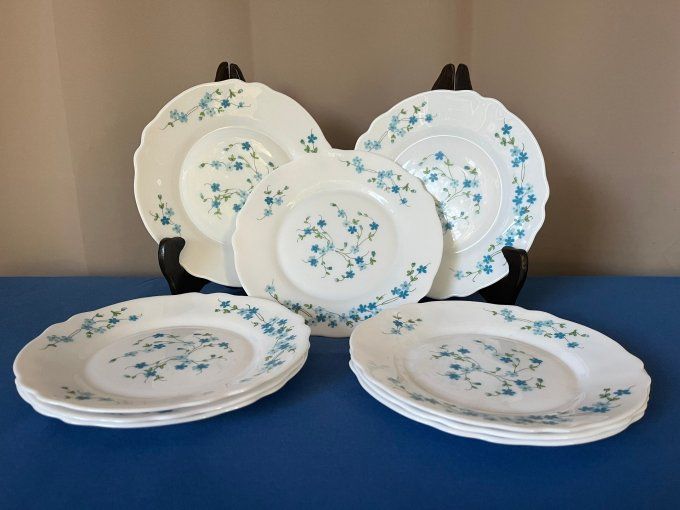 Lot de 9 petites assiettes ARCOPAL Modèle VÉRONICA (Myosotis) – Vintage années 70