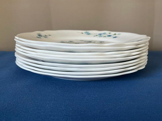 Lot de 9 petites assiettes ARCOPAL Modèle VÉRONICA (Myosotis) – Vintage années 70
