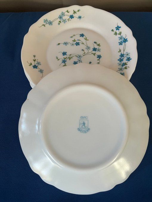 Lot de 9 petites assiettes ARCOPAL Modèle VÉRONICA (Myosotis) – Vintage années 70