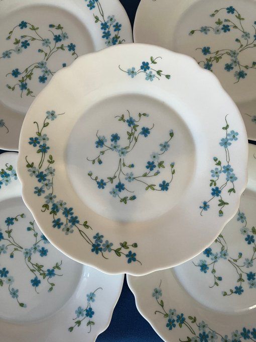 Lot de 9 petites assiettes ARCOPAL Modèle VÉRONICA (Myosotis) – Vintage années 70