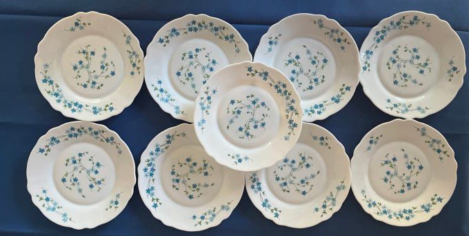 Lot de 9 petites assiettes ARCOPAL Modèle VÉRONICA (Myosotis) – Vintage années 70