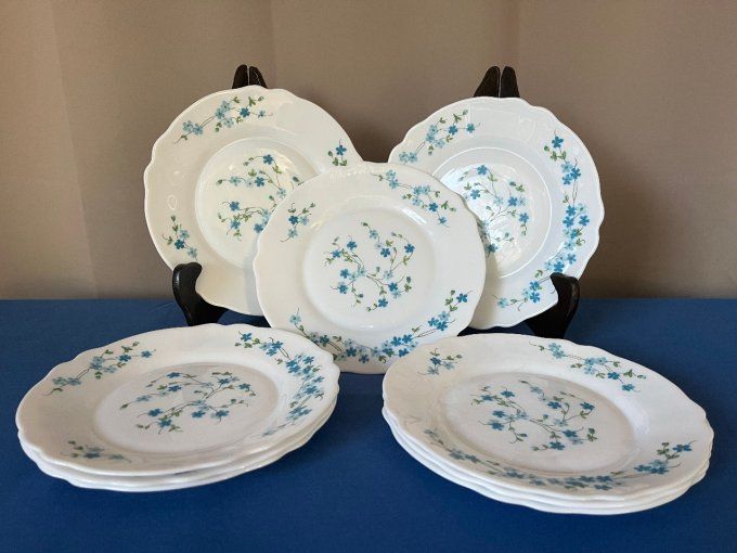 Lot de 9 petites assiettes ARCOPAL Modèle VÉRONICA (Myosotis) – Vintage années 70
