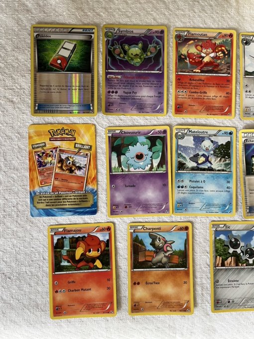 Lot de Cartes Pokémon - Diverses Séries