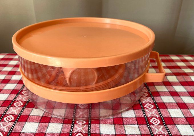 Service à pique-nique vintage 6 personnes plastique orange avec boîte de transport