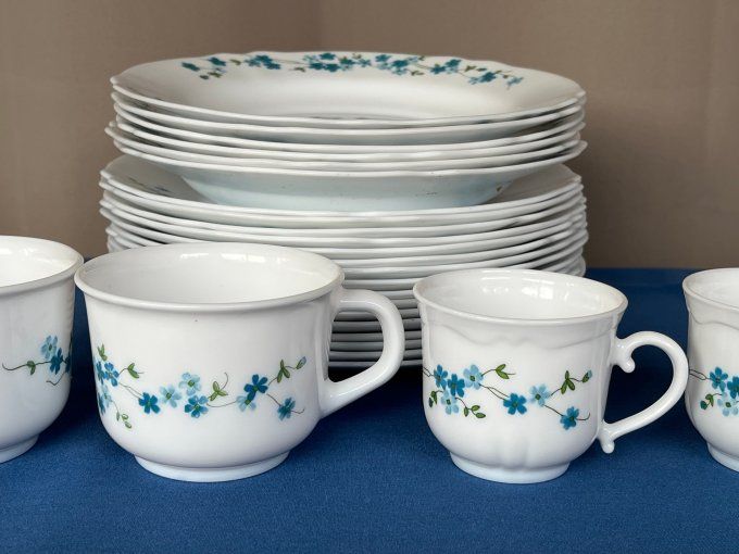 Vaisselle Vintage Arcopal Myosotis, Modèle Veronica - 16 Assiettes Plates, 6 Creuses et 4 Tasses.