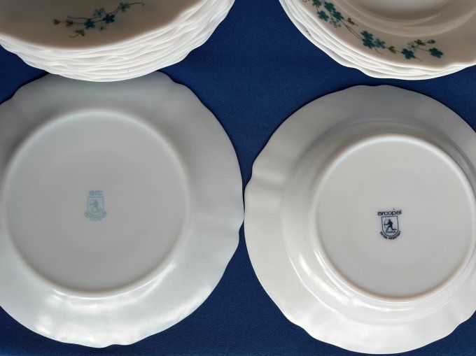 Vaisselle Vintage Arcopal Myosotis, Modèle Veronica - 16 Assiettes Plates, 6 Creuses et 4 Tasses.