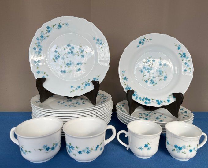 Vaisselle Vintage Arcopal Myosotis, Modèle Veronica - 16 Assiettes Plates, 6 Creuses et 4 Tasses.