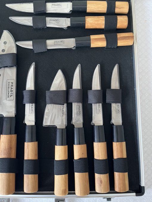 Valise de 11 couteaux Pradel Excellence, couteaux à steak et de cuisine