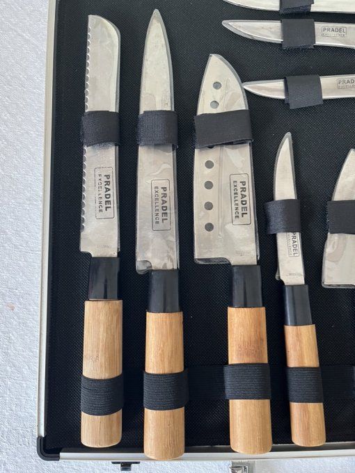 Valise de 11 couteaux Pradel Excellence, couteaux à steak et de cuisine
